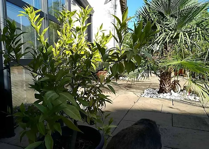 La Rosaliere